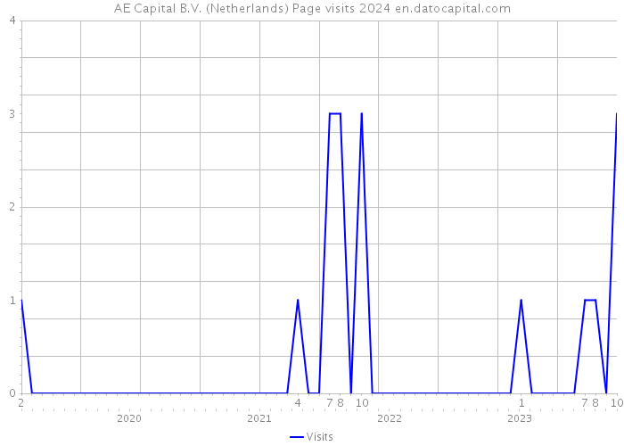 AE Capital B.V. (Netherlands) Page visits 2024 