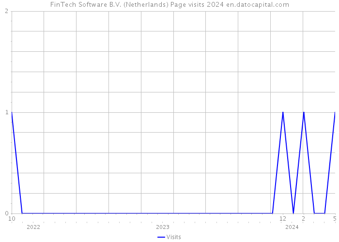 FinTech Software B.V. (Netherlands) Page visits 2024 