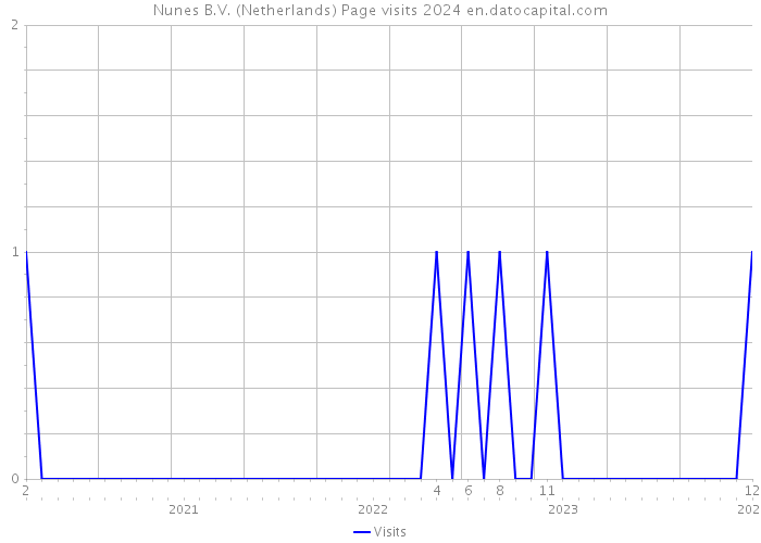 Nunes B.V. (Netherlands) Page visits 2024 