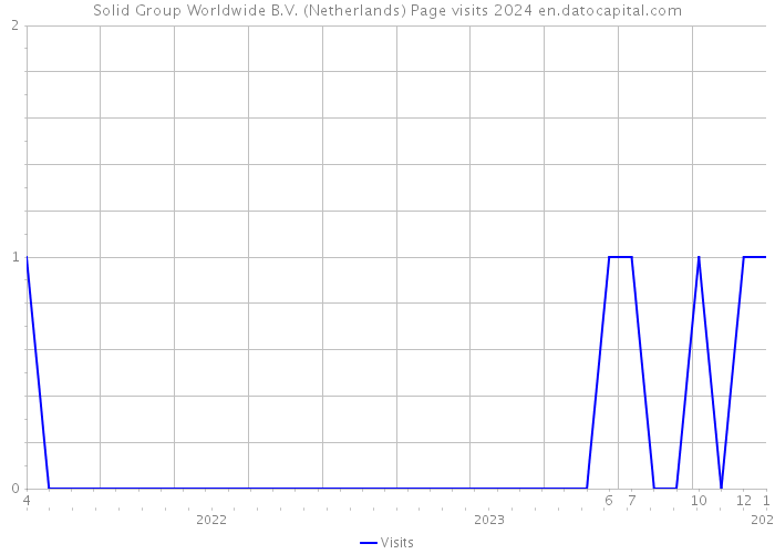 Solid Group Worldwide B.V. (Netherlands) Page visits 2024 
