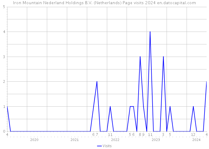 Iron Mountain Nederland Holdings B.V. (Netherlands) Page visits 2024 