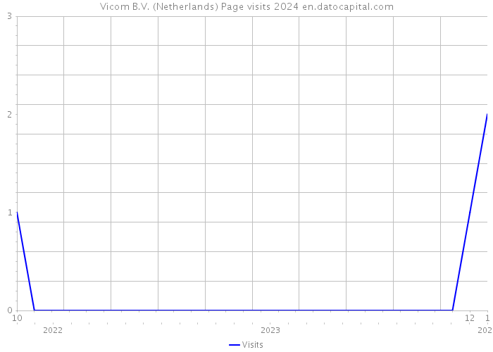 Vicom B.V. (Netherlands) Page visits 2024 