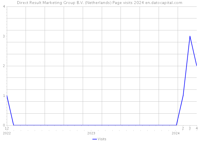 Direct Result Marketing Group B.V. (Netherlands) Page visits 2024 