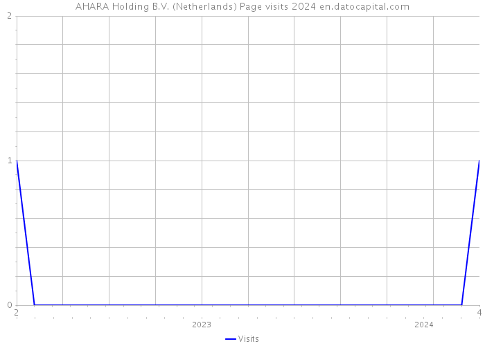 AHARA Holding B.V. (Netherlands) Page visits 2024 