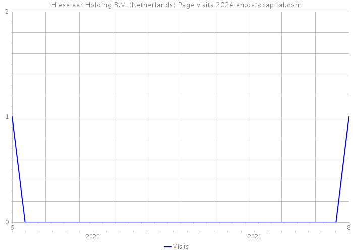 Hieselaar Holding B.V. (Netherlands) Page visits 2024 