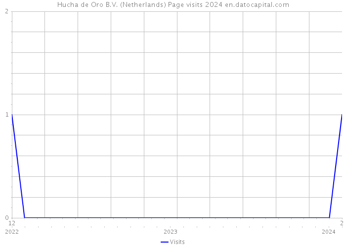 Hucha de Oro B.V. (Netherlands) Page visits 2024 