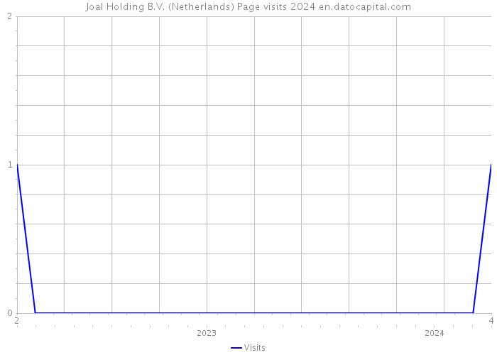Joal Holding B.V. (Netherlands) Page visits 2024 