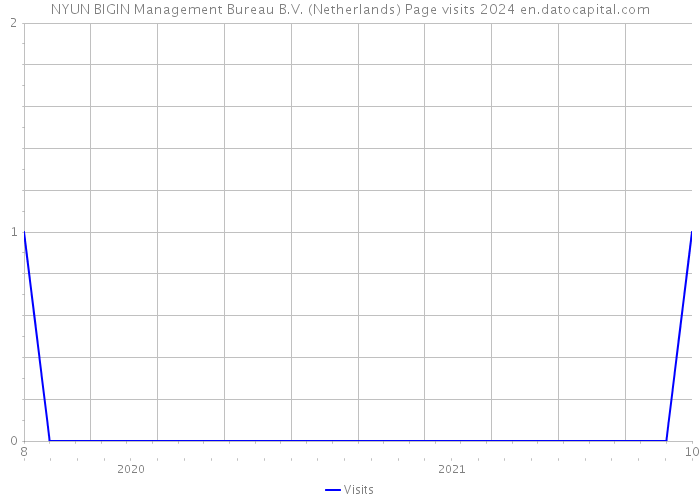 NYUN BIGIN Management Bureau B.V. (Netherlands) Page visits 2024 