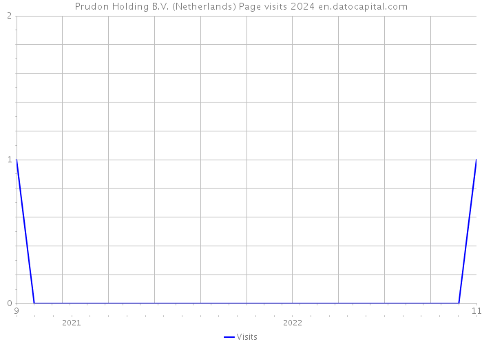 Prudon Holding B.V. (Netherlands) Page visits 2024 