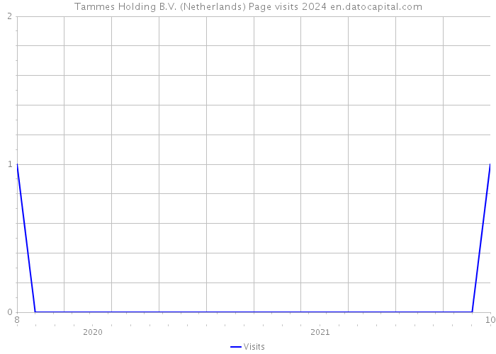 Tammes Holding B.V. (Netherlands) Page visits 2024 