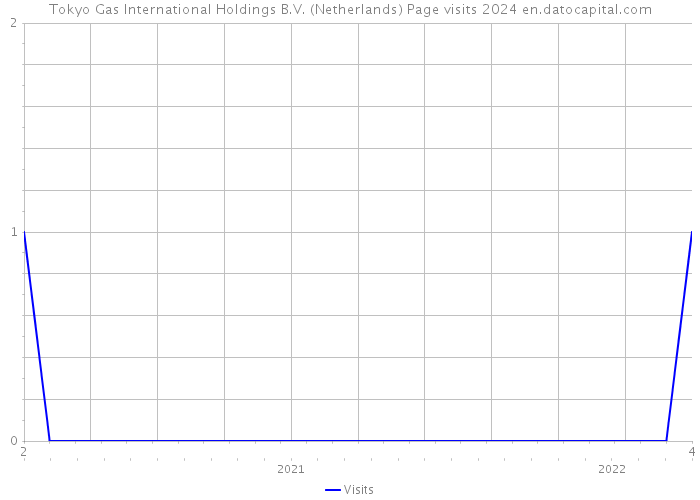 Tokyo Gas International Holdings B.V. (Netherlands) Page visits 2024 
