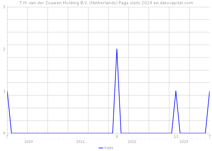 T.H. van der Zouwen Holding B.V. (Netherlands) Page visits 2024 
