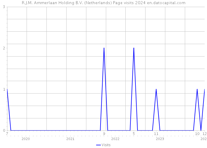 R.J.M. Ammerlaan Holding B.V. (Netherlands) Page visits 2024 