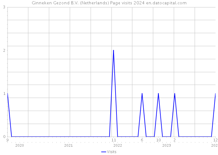 Ginneken Gezond B.V. (Netherlands) Page visits 2024 