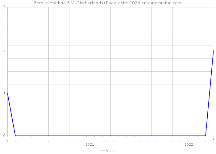 Fem-e Holding B.V. (Netherlands) Page visits 2024 