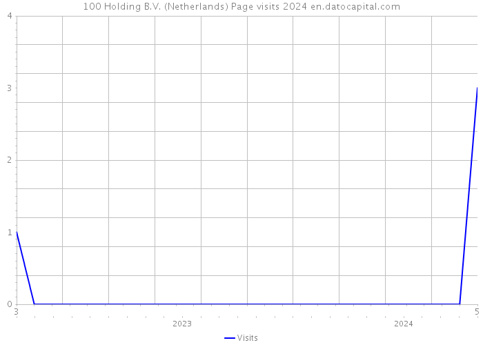 100 Holding B.V. (Netherlands) Page visits 2024 