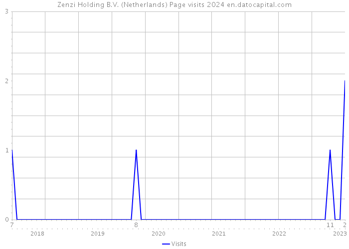 Zenzi Holding B.V. (Netherlands) Page visits 2024 