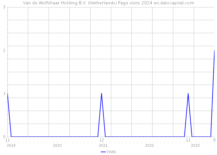 Van de Wolfshaar Holding B.V. (Netherlands) Page visits 2024 