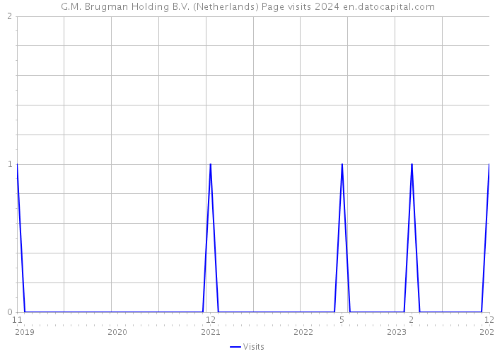 G.M. Brugman Holding B.V. (Netherlands) Page visits 2024 