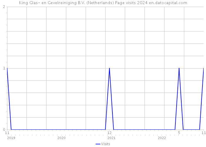 King Glas- en Gevelreiniging B.V. (Netherlands) Page visits 2024 