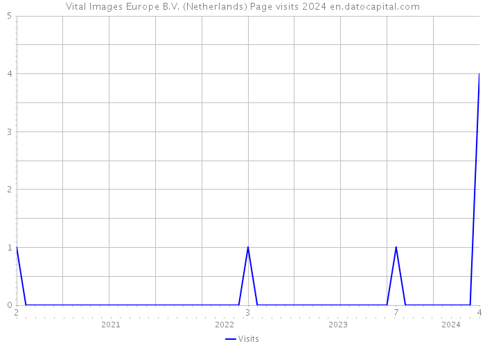 Vital Images Europe B.V. (Netherlands) Page visits 2024 