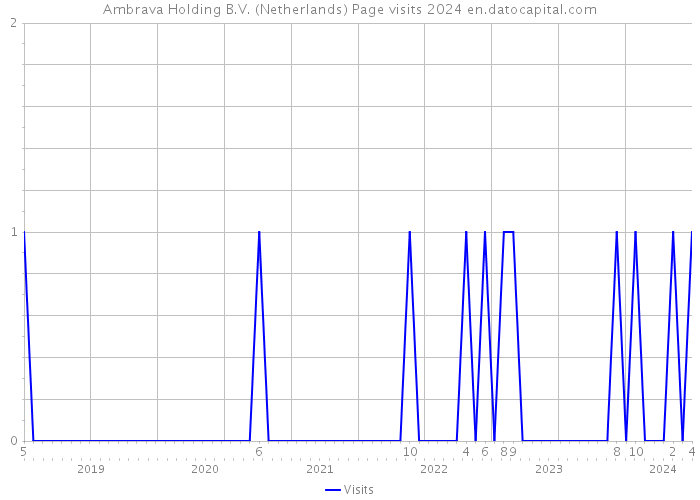 Ambrava Holding B.V. (Netherlands) Page visits 2024 