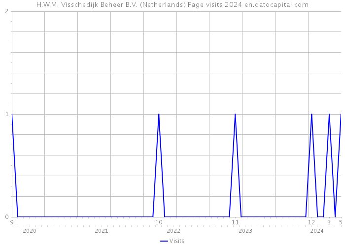 H.W.M. Visschedijk Beheer B.V. (Netherlands) Page visits 2024 