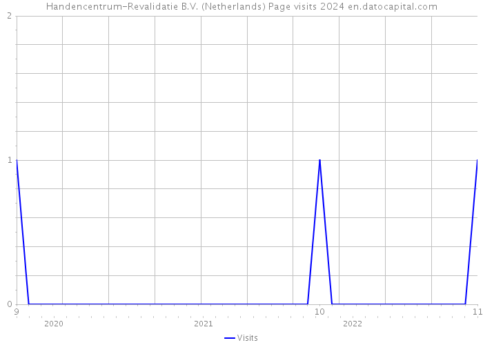 Handencentrum-Revalidatie B.V. (Netherlands) Page visits 2024 