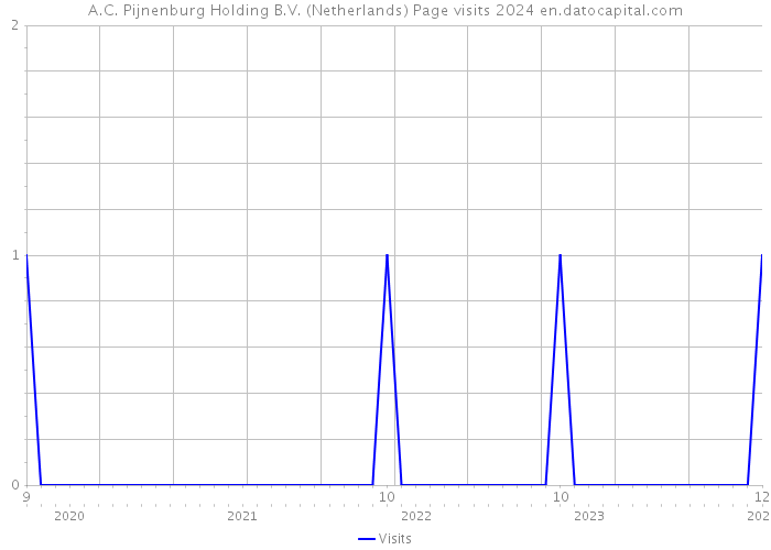 A.C. Pijnenburg Holding B.V. (Netherlands) Page visits 2024 