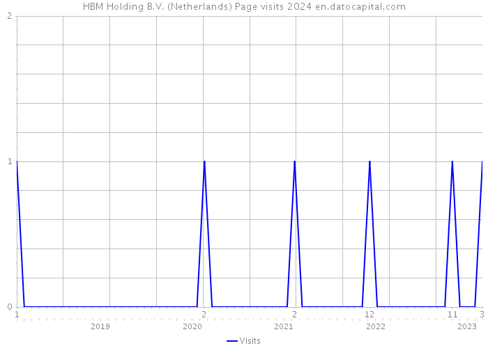 HBM Holding B.V. (Netherlands) Page visits 2024 