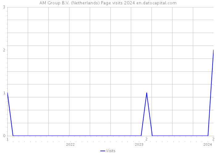 AM Group B.V. (Netherlands) Page visits 2024 