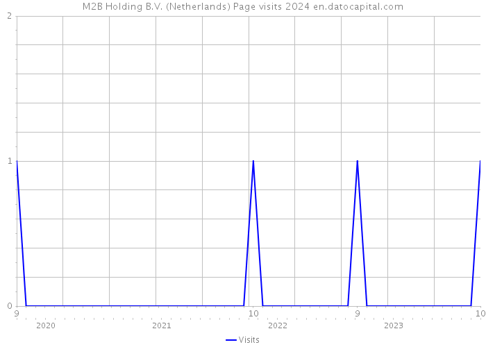 M2B Holding B.V. (Netherlands) Page visits 2024 