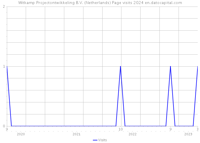 Witkamp Projectontwikkeling B.V. (Netherlands) Page visits 2024 