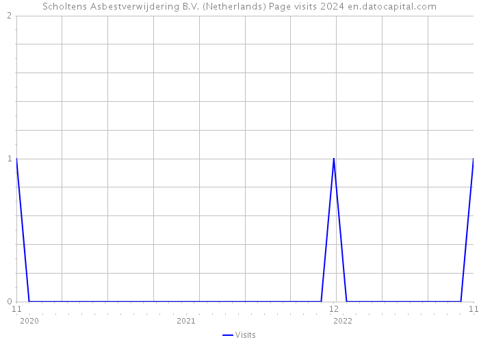 Scholtens Asbestverwijdering B.V. (Netherlands) Page visits 2024 