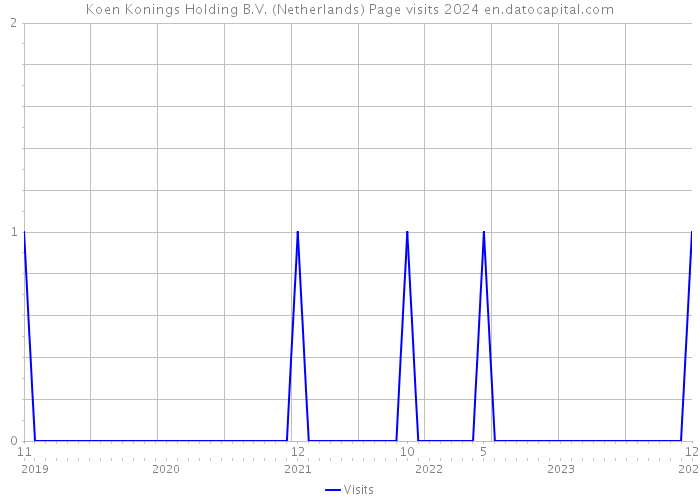 Koen Konings Holding B.V. (Netherlands) Page visits 2024 