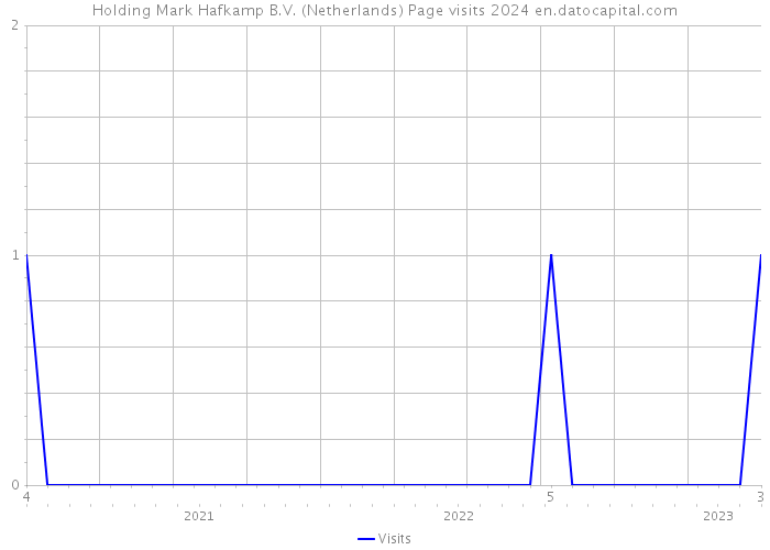 Holding Mark Hafkamp B.V. (Netherlands) Page visits 2024 