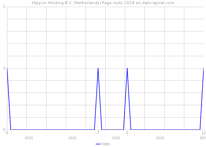 Nippon Holding B.V. (Netherlands) Page visits 2024 