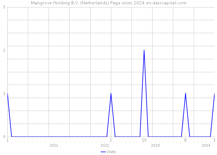 Mangrove Holding B.V. (Netherlands) Page visits 2024 