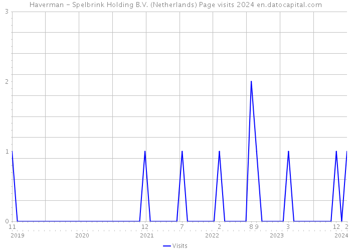 Haverman - Spelbrink Holding B.V. (Netherlands) Page visits 2024 