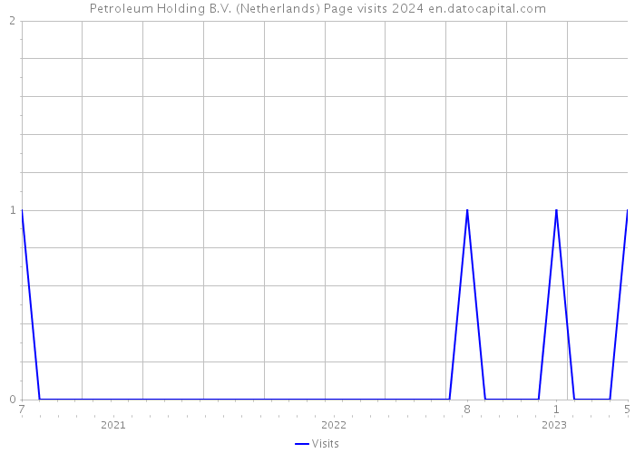 Petroleum Holding B.V. (Netherlands) Page visits 2024 
