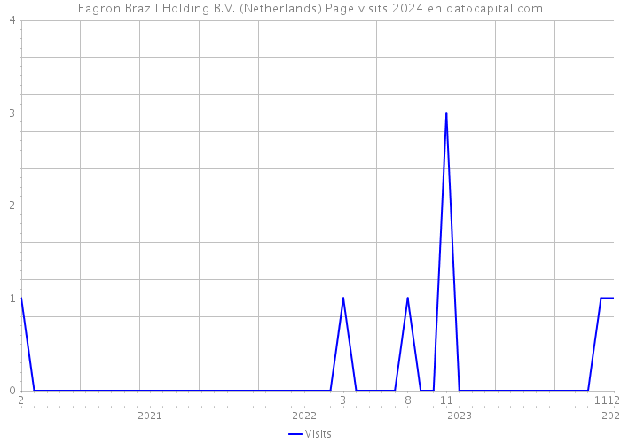 Fagron Brazil Holding B.V. (Netherlands) Page visits 2024 