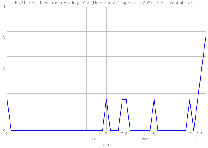 BNP Paribas Investment Holdings B.V. (Netherlands) Page visits 2024 