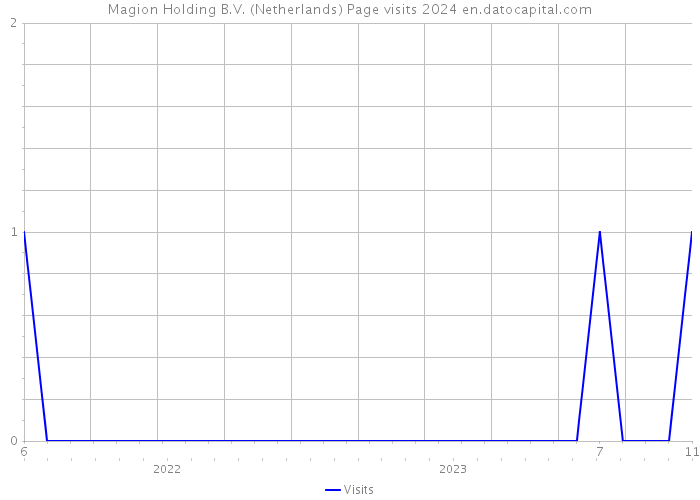 Magion Holding B.V. (Netherlands) Page visits 2024 
