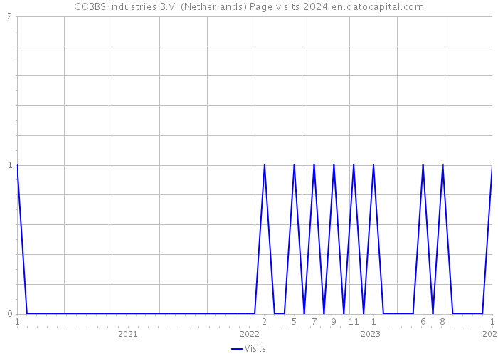 COBBS Industries B.V. (Netherlands) Page visits 2024 
