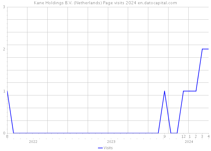 Kane Holdings B.V. (Netherlands) Page visits 2024 
