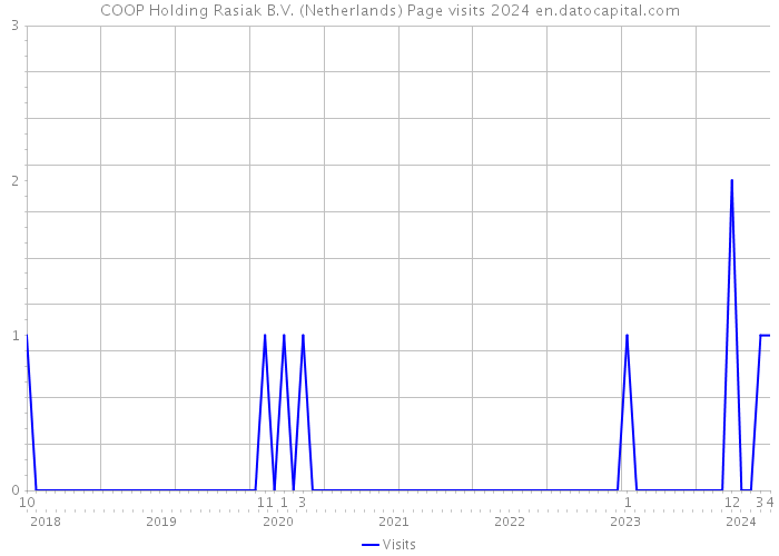 COOP Holding Rasiak B.V. (Netherlands) Page visits 2024 