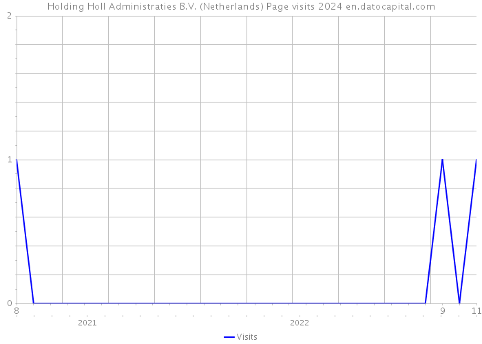 Holding Holl Administraties B.V. (Netherlands) Page visits 2024 
