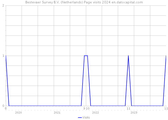 Bestevaer Survey B.V. (Netherlands) Page visits 2024 