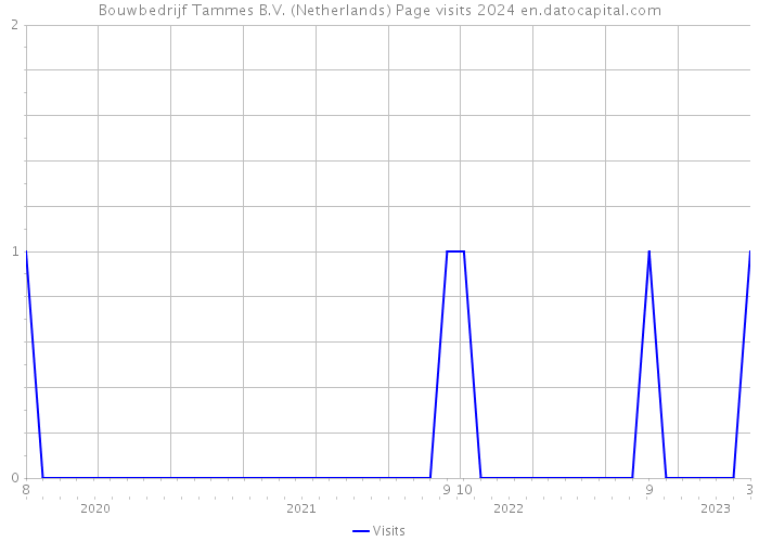 Bouwbedrijf Tammes B.V. (Netherlands) Page visits 2024 