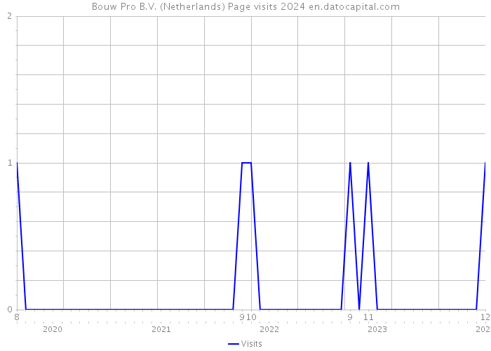 Bouw Pro B.V. (Netherlands) Page visits 2024 